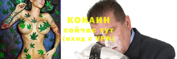 спайс Алзамай