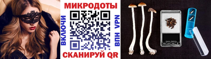 KRAKEN ссылки  Жердевка  Псилоцибиновые грибы ЛСД 