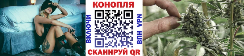 Каннабис семена  где найти наркотики  darknet телеграм  Жердевка 